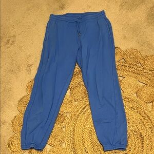 Aerie joggers blue size M